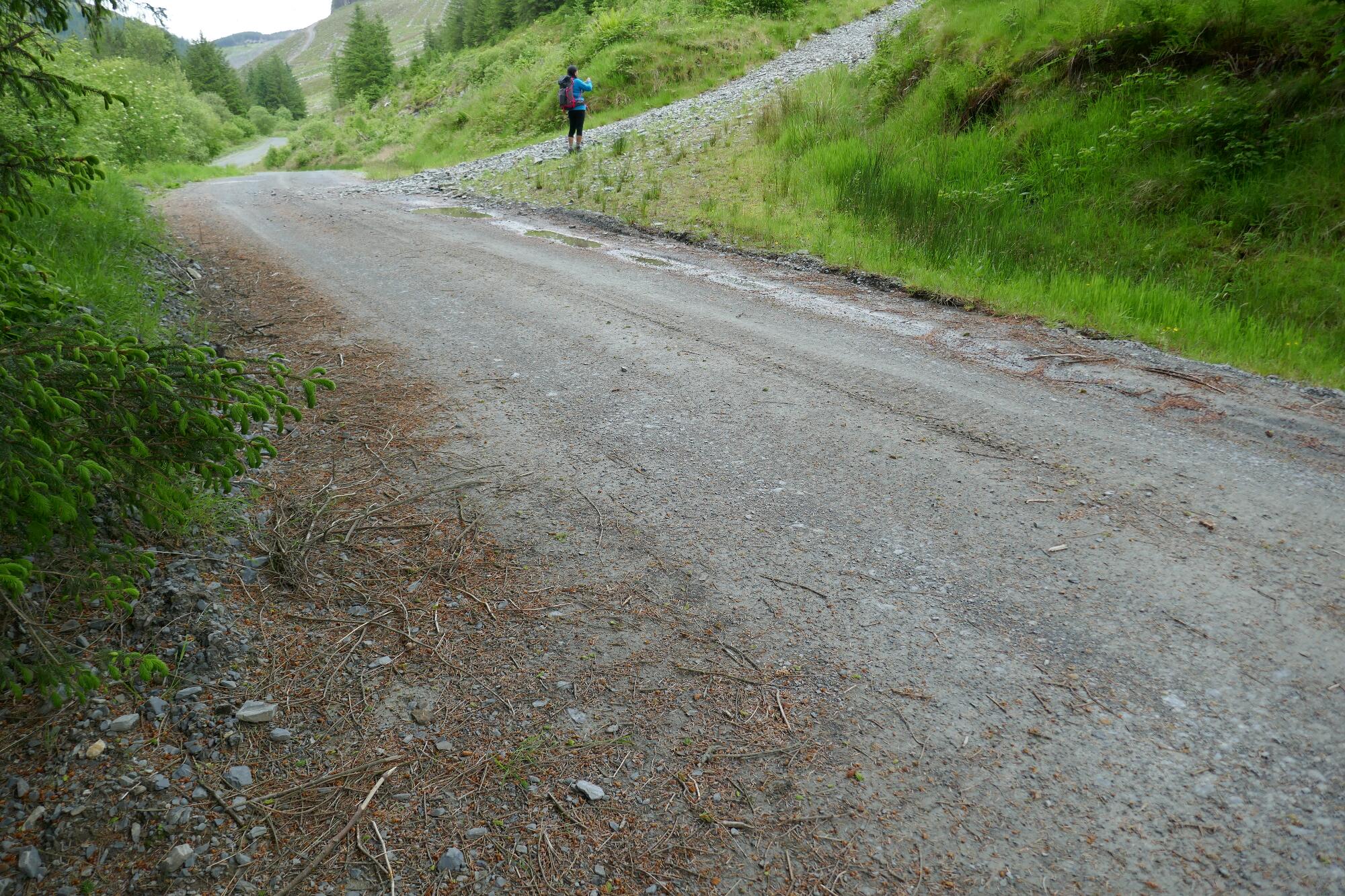 RachelSeabrook.net | Wild Walking | Devils-Bridge; pic47